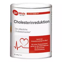 CHOLESTERINREDUKTION Dr.Wolz-jauhe, 224 g