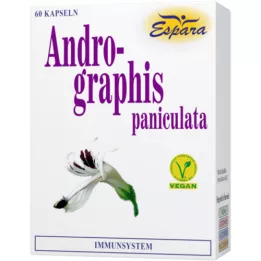 ANDROGRAPHIS paniculata-kapselit, 60 kpl
