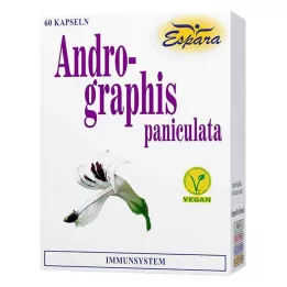 ANDROGRAPHIS paniculata-kapselit, 60 kpl