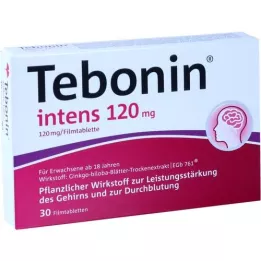 TEBONIN intensiiviset 120 mg kalvopäällysteiset tabletit, 30 kpl