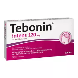 TEBONIN intensiiviset 120 mg kalvopäällysteiset tabletit, 30 kpl