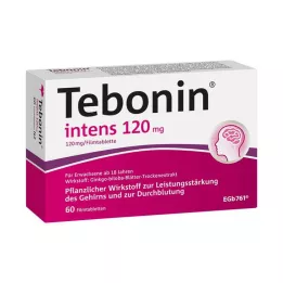 TEBONIN intensiiviset 120 mg kalvopäällysteiset tabletit, 60 kpl