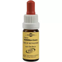 BACHBLÜTEN Murnauer Star of Bethlehem -tipat, 20 ml