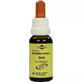 BACHBLÜTEN Murnauer Gorse -tipat, 20 ml