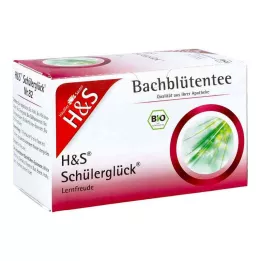 H&amp;S Bach Flowers Opiskelijan onnen tee suodatinpussi, 20X3.0 g, 20X3.0 g