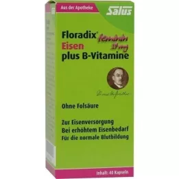 FLORADIX Rauta plus B-vitamiinit -kapselit, 40 kpl