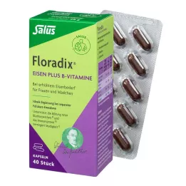 FLORADIX Rauta plus B-vitamiinit -kapselit, 40 kpl