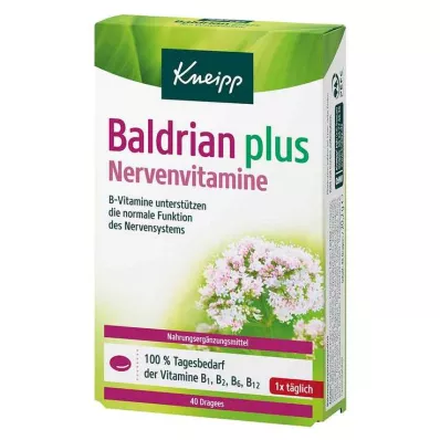 Kneipp Valerian plus hermovitamiinit rakeet, 40 kpl