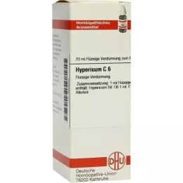 HYPERICUM C 6 Laimennus, 20 ml