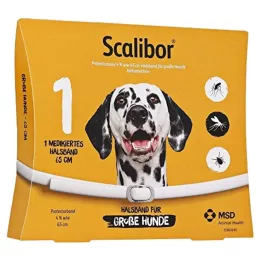 SCALIBOR Suojanauha 65 cm suurille koirille, 1 kpl