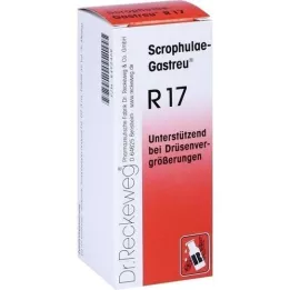 SCROPHULAE-Gastreu R17 -seos, 50 ml