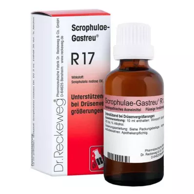 Scrophulae Gastreu R 17 tippaa suun kautta, 50 ml