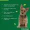 ADVANTAGE 100 liuosta koirille 4-10 kg, 4 kpl