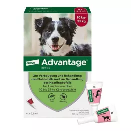 ADVANTAGE 250 liuosta koirille 10-25 kg, 4 kpl