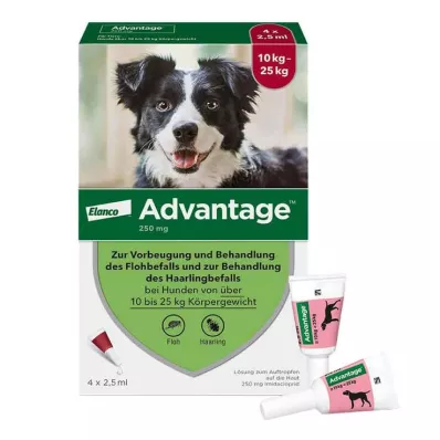 ADVANTAGE 250 liuosta koirille 10-25 kg, 4 kpl
