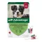 ADVANTAGE 250 liuosta koirille 10-25 kg, 4 kpl