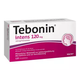 TEBONIN intensiiviset 120 mg kalvopäällysteiset tabletit, 120 kpl