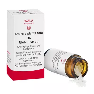 Arnica E Planta yhteensä D 6 palloa, 20 g