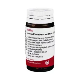 ARNICA/PLUMBUM /Mellitum-pallot, 20 g