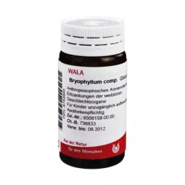 BRYOPHYLLUM COMP.Pallot, 20 g