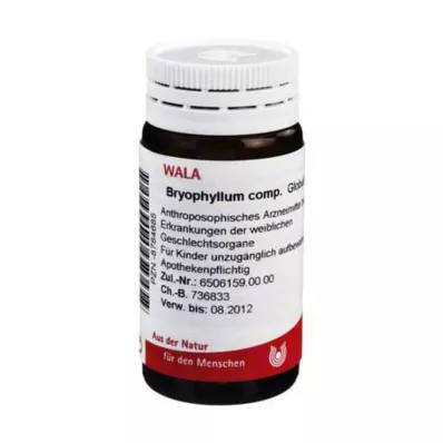 BRYOPHYLLUM COMP.Pallot, 20 g BRYOPHYLLUM COMP.Pallot, 20 g