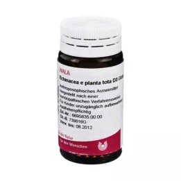 ECHINACEA E planta tota D 3 palloa, 20 g