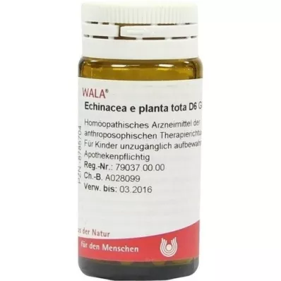 ECHINACEA E planta tota D 6 palloa, 20 g