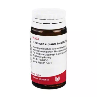 Echinacea E Planta Tota D 6, 20 g Echinacea E Planta Tota D 6, 20 g