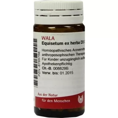 EQUISETUM EX Herba D 3 kapselia, 20 g