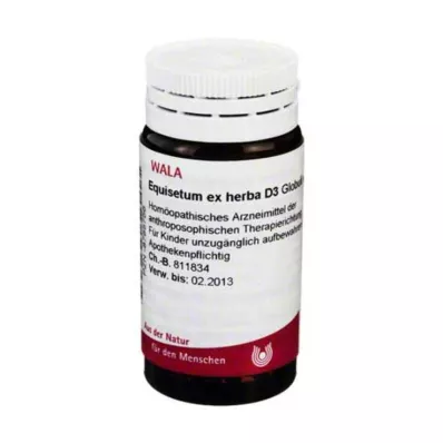 Equisetum ex Herba D 3 pallot, 20 g