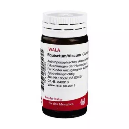 EQUISETUM/VISCUM Pallot, 20 g