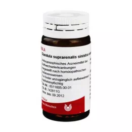GLANDULA SUPRARENALES sinistra cum Cupro -kumipalloja, 20 g