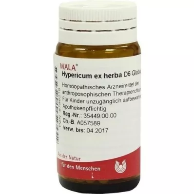 HYPERICUM EX Herba D 6 globulia, 20 g