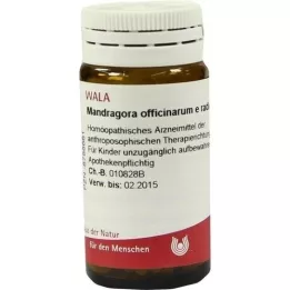 MANDRAGORA OFFICINARIUM e radice D 6 palloa, 20 g