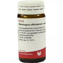 MANDRAGORA OFFICINARIUM e radice D 6 palloa, 20 g
