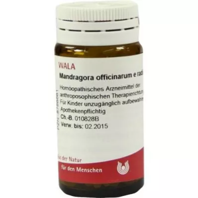 MANDRAGORA OFFICINARIUM e radice D 6 palloa, 20 g