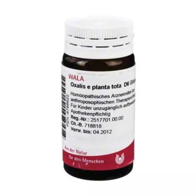 Oxalis E Planta Tota D 6 palloa, 20 g Oxalis E Planta Tota D 6 palloa, 20 g