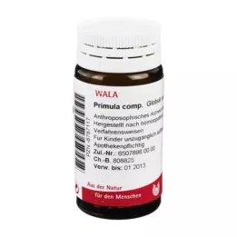PRIMULA COMP.Pallot, 20 g