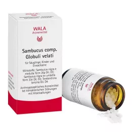 SAMBUCUS COMP Pallot, 20 g