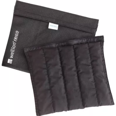 Wellion Frigo XXL med kylmälaukku, 1 kpl Wellion Frigo XXL med kylmälaukku, 1 kpl