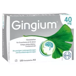 GINGIUM 40 mg kalvopäällysteiset tabletit, 120 kpl