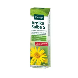 KNEIPP Arnica-salva S, 100 g