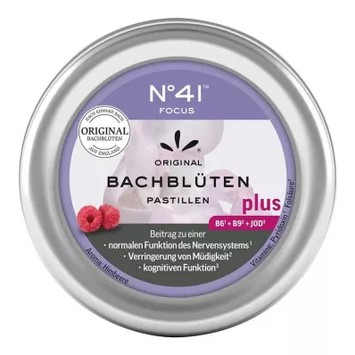 KONZENTRATION Bachin kukkapastillit tohtori Bachin mukaan, 50 g KONZENTRATION Bachin kukkapastillit tohtori Bachin mukaan, 50 g