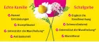 Instructions for use for Kamillan® neste, 10 ml - 2