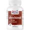 UBICHINOL COQ 10 kapselia 50 mg, 60 kpl
