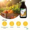 Monivitamiini energeettinen Salus, 500 ml