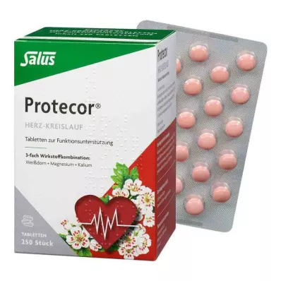 PROTECOR Cardiovascular Tabl.z.Funktionsunt.Salus, 250 kpl
