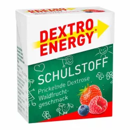 DEXTRO ENERGY Koulumateriaali Forest Fruit Tabletit, 50 g