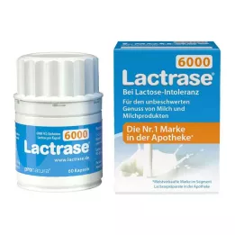 LACTRASE 6000 FCC kapselia, 60 kpl