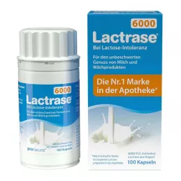 LACTRASE 6 000 FCC Kapselit, 100 kpl